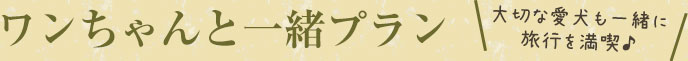 ワンちゃんと一緒プラン