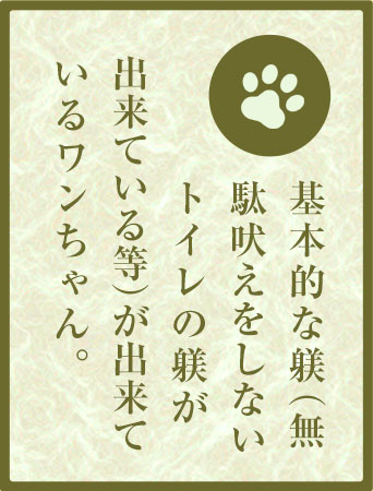 基本的な躾（無駄吠えをしないトイレの躾が出来ている等）が出来ているワンちゃん。