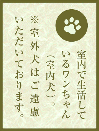室内で生活しているワンちゃん（室内犬）。※室外犬はご遠慮いただいております。